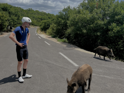 450 km? Is dat heen en terug toch?
